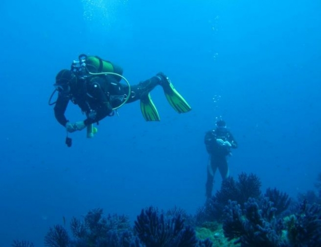 Plongee sous marine sortie avec le club.jpg